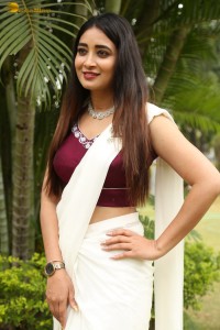 actress Bhanu Sri photoshoot in a white saree