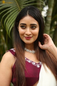 actress Bhanu Sri photoshoot in a white saree