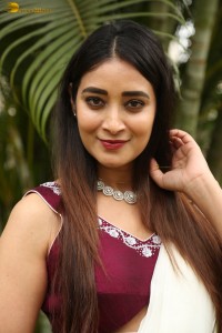actress Bhanu Sri photoshoot in a white saree