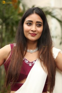 actress Bhanu Sri photoshoot in a white saree