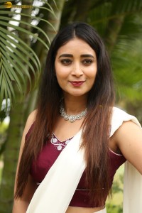 actress Bhanu Sri photoshoot in a white saree