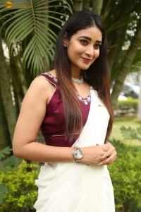 actress Bhanu Sri photoshoot in a white saree