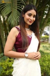 actress Bhanu Sri photoshoot in a white saree