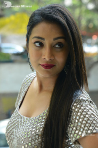 Telugu Actress Bhanu Sri photoshoot in a grey dress