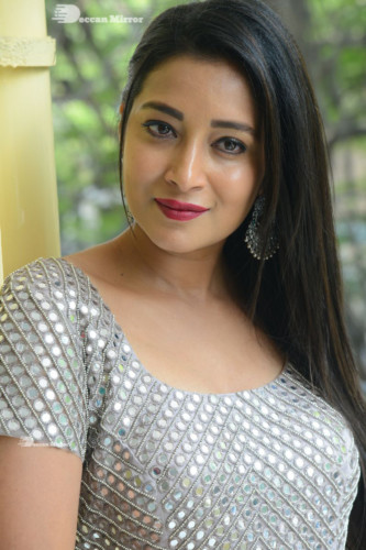 Telugu Actress Bhanu Sri photoshoot in a grey dress