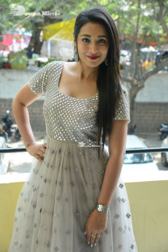 Telugu Actress Bhanu Sri photoshoot in a grey dress