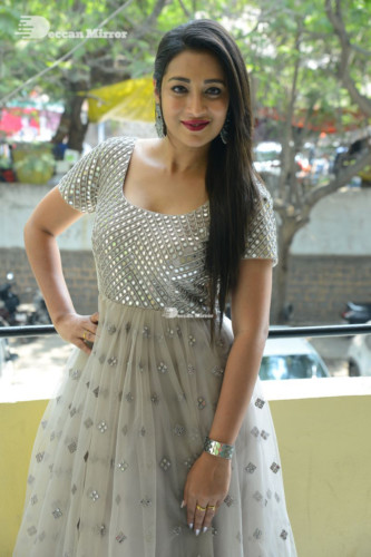 Telugu Actress Bhanu Sri photoshoot in a grey dress