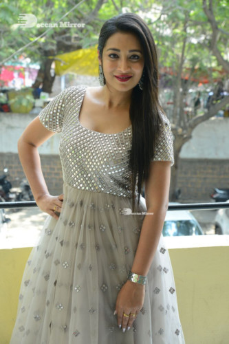 Telugu Actress Bhanu Sri photoshoot in a grey dress