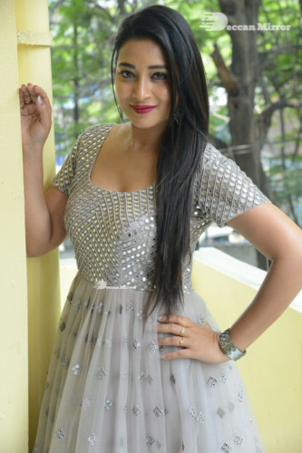 Telugu Actress Bhanu Sri photoshoot in a grey dress