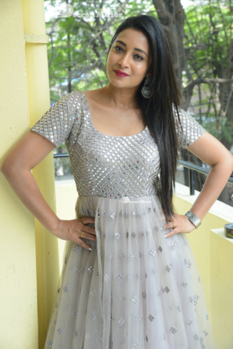 Telugu Actress Bhanu Sri photoshoot in a grey dress