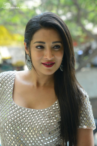Telugu Actress Bhanu Sri photoshoot in a grey dress