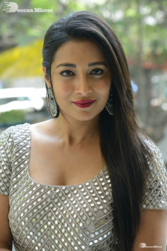 Telugu Actress Bhanu Sri photoshoot in a grey dress