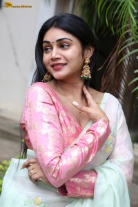 actress Bramarambika photoshoot in a saree