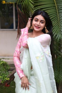 actress Bramarambika photoshoot in a saree
