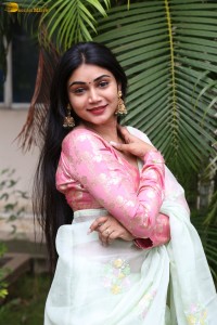 actress Bramarambika photoshoot in a saree