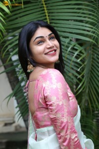 actress Bramarambika photoshoot in a saree