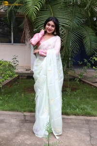 actress Bramarambika photoshoot in a saree