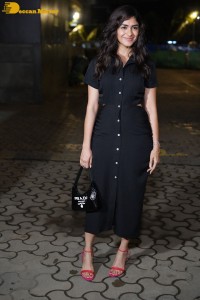 Special Screening of the film Chup attended by Sunny Deol and Dulquer Salmaan