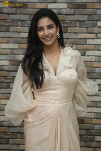 telugu actress Daksha Nagarkar beautiful in a white dress
