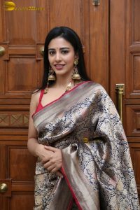 actress Daksha Nagarkar gorgeous in a shiny saree