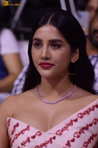 Darling Pre-Release Function attended by Priyadarshi Pulikonda, Nabha Natesh, Ananya Nagalla, Nani, and others