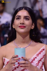 Darling Pre-Release Function attended by Priyadarshi Pulikonda, Nabha Natesh, Ananya Nagalla, Nani, and others