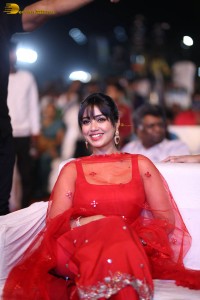 Das Ka Dhamki Trailer Launch attended by Vishwak Sen, Nivetha Pethuraj, and Karate Raju