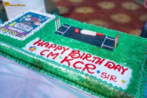 Telangana Minister Harish Rao and actor nani attend CM KCR Cricket trophy season 3 in Siddipet