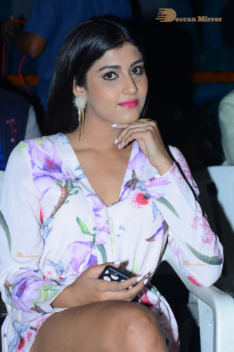 Telugu Movie Degree College Pre-Release Event attended by Heroine Divya Rai and other cast