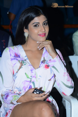 Telugu Movie Degree College Pre-Release Event attended by Heroine Divya Rai and other cast