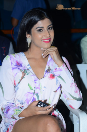 Telugu Movie Degree College Pre-Release Event attended by Heroine Divya Rai and other cast