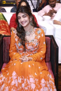 Dhamaka Success Celebration attended by Ravi Teja and Sreeleela