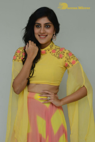 Telugu Actress Dhanya Balakrishna Photoshoot in a  yellow dress