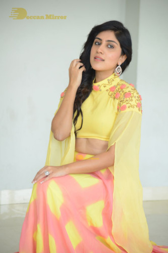 Telugu Actress Dhanya Balakrishna Photoshoot in a  yellow dress