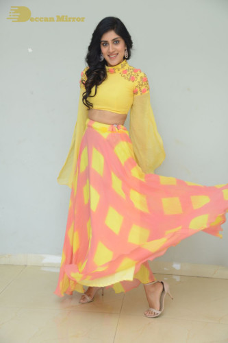 Telugu Actress Dhanya Balakrishna Photoshoot in a  yellow dress