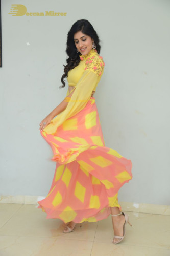 Telugu Actress Dhanya Balakrishna Photoshoot in a  yellow dress
