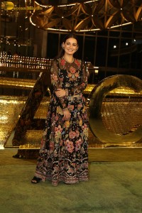 actress dia mirza pretty at a function