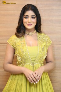 actress dimple hayathi in a yellow dress at a movie function