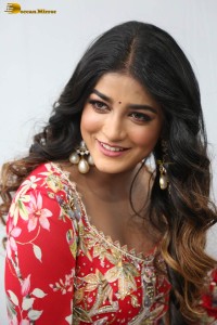 indian actress dimple hayathi cute looks in a red salwar dress