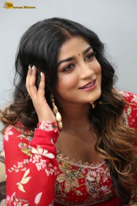 indian actress dimple hayathi cute looks in a red salwar dress