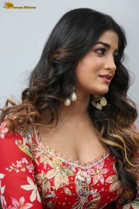 indian actress dimple hayathi cute looks in a red salwar dress