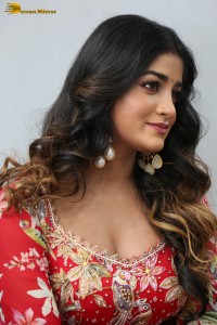 Dimple Hayathi Picture Gallery 6