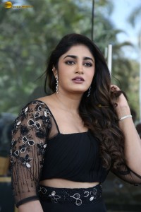 actress Dimple Hayathi gorgeous in a black dress