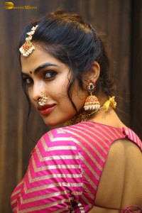 Indian actress divi vadthya hot photoshoot in traditional dress and jewelry