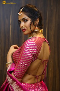 Indian actress divi vadthya hot photoshoot in traditional dress and jewelry