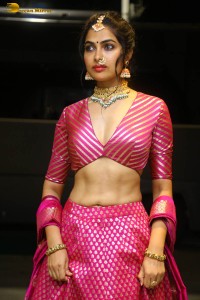Indian actress divi vadthya hot photoshoot in traditional dress and jewelry