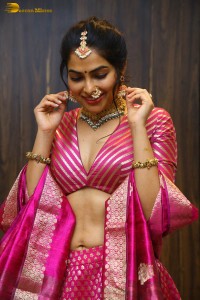 Indian actress divi vadthya hot photoshoot in traditional dress and jewelry