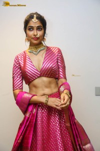 Indian actress divi vadthya hot photoshoot in traditional dress and jewelry