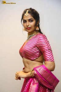 Indian actress divi vadthya hot photoshoot in traditional dress and jewelry