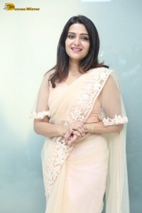 Telugu Actress Divya Pillai in a light pink saree posing for pictures